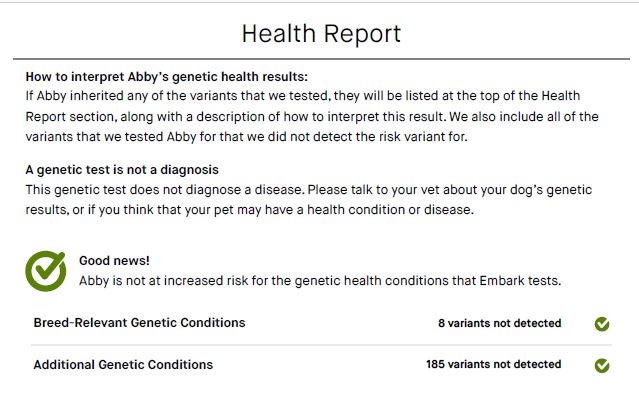 Abby Health Cert pg 2